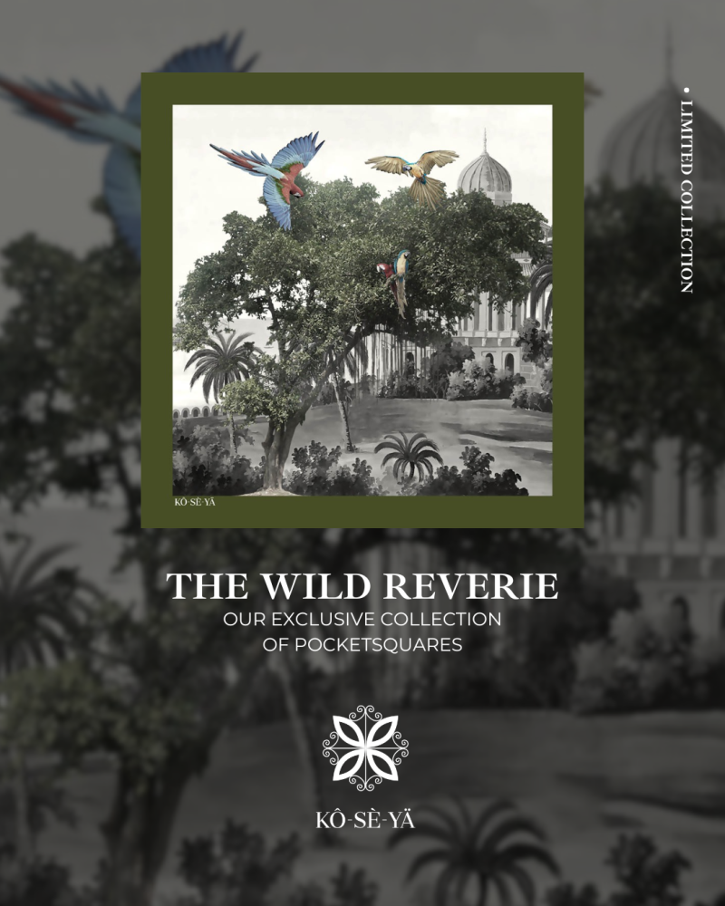 The Wild Reverie Collection