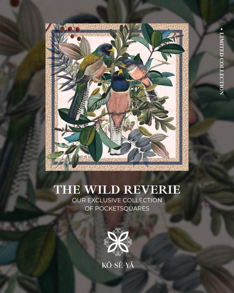 The Wild Reverie Collection
